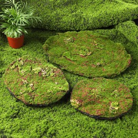 Huamanyuancraft 3 Simulated Moss Plants, Moss Lawn, Chinese Artificial Turf. Lawn Mat with Matching Blocks for Fairy Garden, Terrarium, Home Decor Realistic Green Faux Fake Blocks Fake Plants