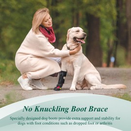 Drop Foot Brace with Reel(No Knuckling Boot Brace) for Dog - Corrective Dog Shoes to Safely Lift Toes for Foot Issues, Arthritis, and improving Walking gait in Dogs(XL)