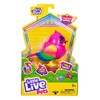 Little Live Pets Lil' Bird Pippy Hippy - Interactive, colourful