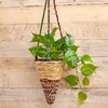 Wildlife World Artisan Hanging Plant Basket - Small Conical -
