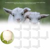 10pcs Lamb Special Nipple Teats Replacement Goats Sheep Cow Milk