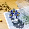 TOLIDA Crystal Forget-Me-Not Ornament - Blue Flower Figurine Crystal Paperweight,