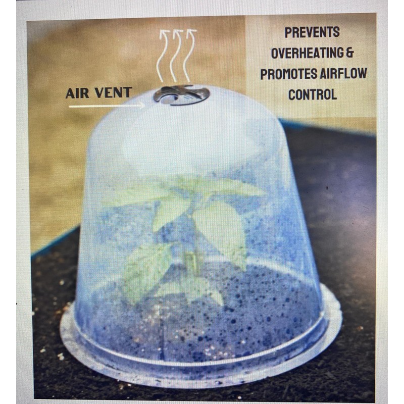 Cloche Plant Protector Clear Bell (5-Pack) Each 8in x10in Pre