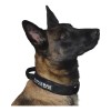 Collar Táctico Para Perro Con Parche De Datos Personalizado