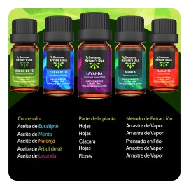 Kit de 5 Aceites Esenciales Original Nature – Aromaterapia Premium para Difusor | Relax y Bienestar Natural