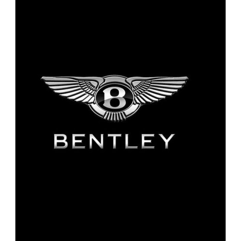 Bentley Continental GT Boot Lid Struts Pair 2004-2012 3W8827550G