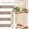 Induslyfe Macrame Wall Hanging Shelf 2 Tier Boho Wall Plant