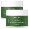Dewytree Snail Cream Anti-wrinkle Moisturizing Cream 2 Pieces, 80ml / 달팽이크림 주름개선 수분크림 스네일크림 2개, 80ml