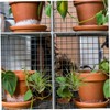 BESPORTBLE 3pcs Air Plant Holders Practical Tillandsia Hanging Hooks for