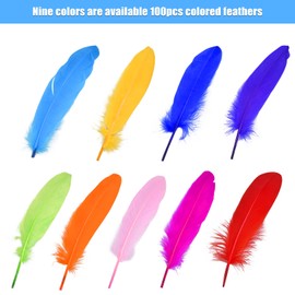 Pack of 100 Feathers for Crafts, Colourful Feathers, Natural Goose Feathers, Indian Feather for Dream Catchers, Crafts, Costumes, Hats, Home Decor, DIY Earrings, Wedding Craft Headdress Feathers