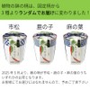 Seishin Ceramics All-Year Home Garden Easy Cultivation Kit for Growing