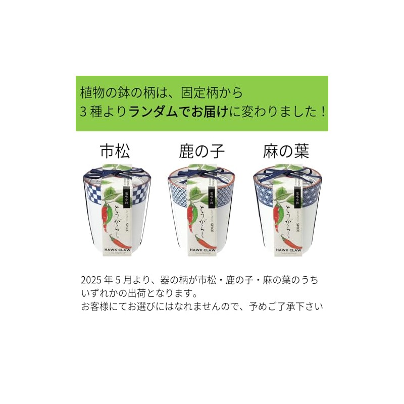 Seishin Ceramics All-Year Home Garden Easy Cultivation Kit for Growing