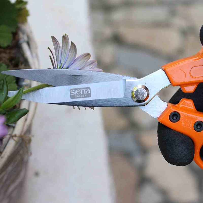 Siena Garden 313241 Garden Shears, Flower Shears, Rose Shears