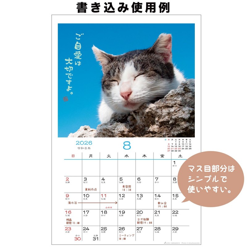 Active Corporation 2026 Calendar Wall-mounted Sunbathing Cat Chronicles 26ACL-04 2026