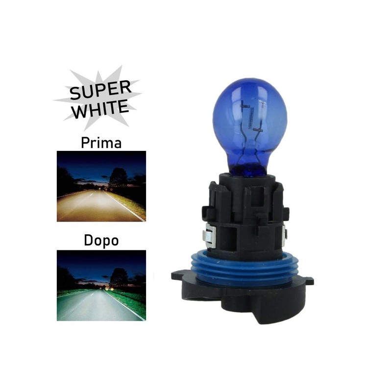 CARALL Halogen Bulbs 12 V White with Xenon Effect (HP24W