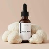 Antioxi Lion's Mane Tincture, Liquid Mushroom Extract, Third Party Tested,
