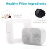 iPettie Replacement Filters for Tritone and Fiumi Ceramic Fountain |