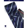 HISDERN HTC-04S Men's Necktie, Chief Set, 40 Patterns, Business, Weddings,