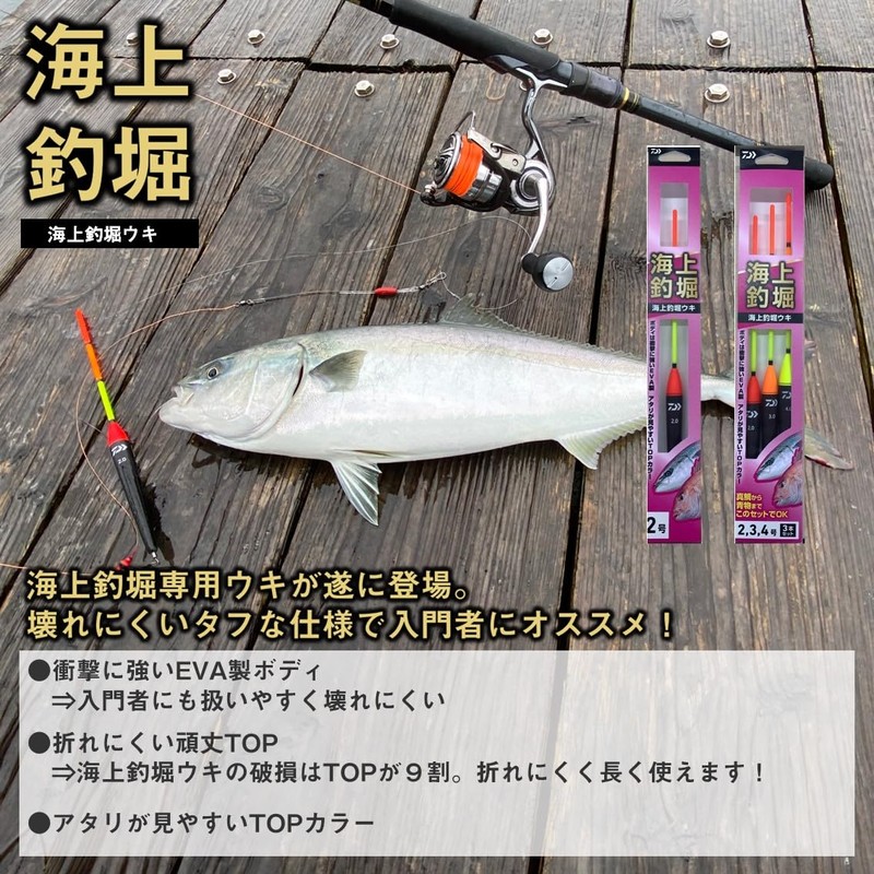 DAIWA Marine Fishing Boat Float Set