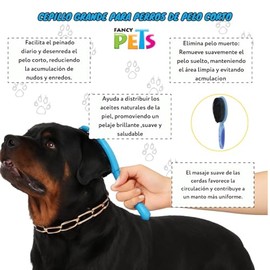 Fancy Pets Cepillo Grande para Perros de Pelo Corto con Cerdas Suaves para Desenredar y Mantener Pelaje Brillante                                     