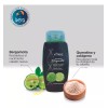 Ives Mexico - Ives Evolution Shampoo Bergamota Coco Hamamelis Romero