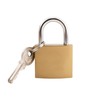 PINGEUI 12 Pack Small Brass Padlock, Padlocks with Keys, Mini