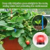 TRJZWA Automatic Watering System Watering System Kit Schedule Water Timer