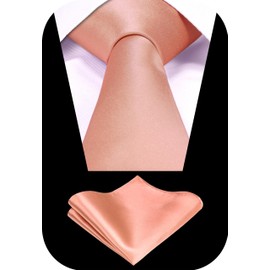TIE G Solid Satin Color Formal Necktie and Pocket Square Sets in Gift Box (Dusty Salmon)