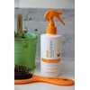 GREAT CLIPS Solutions Kid's Afraid Knot Detangler, 8oz | Light