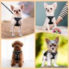 SlowTon Small Dog Harness - No Pull Dog Harness and