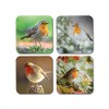 4 x Square Robin Coasters - Garden Birds Animals Nature