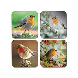 4 x Square Robin Coasters - Garden Birds Animals Nature Redbreast Wildlife Gift #77920