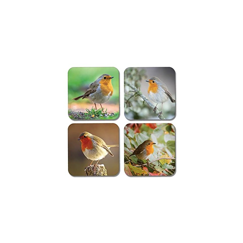 4 x Square Robin Coasters - Garden Birds Animals Nature