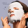 SpaLife Fabulosa colección de mascarillas de frutas (12 unidades)