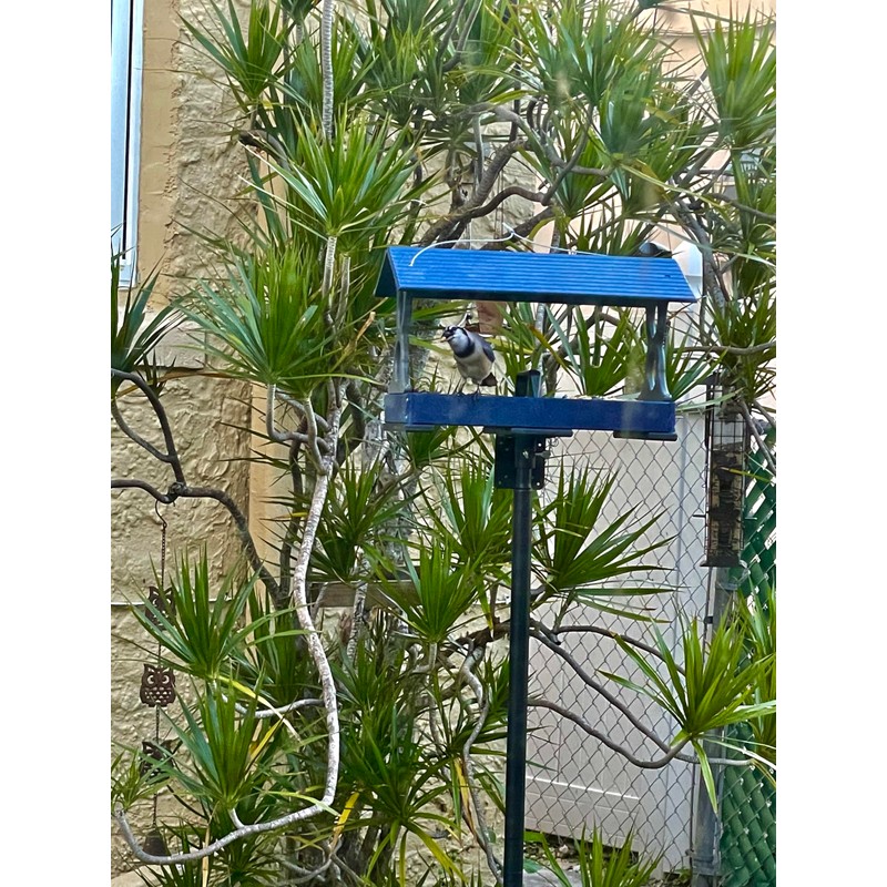 Universal Mounting Pole Kit for Post-Mounted Bird Houses and Bird