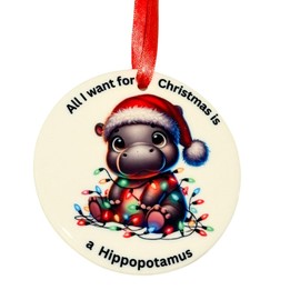 All I Want for Christmas Is A Hippopotamus Christmas Ornament, 3 in