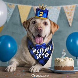 Orangezone Dog Birthday Party Decoration Supplies Blue Puppy Birthday Hat Crown with Numbers Bandana Scarf with Bow Tie for Medium Large Pets (M/L)