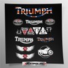Stickersland | Sticker Set Compatible with Triumph Frame Cladding on
