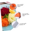 Ciieeo 1PC Multifunctional Grater and Peeler Tool for Fruits and