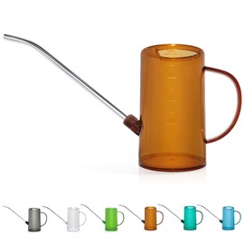 Qilebi Indoor Small Watering Can, Stainless Steel Long Spout for House Plants - 1 L / 34 oz