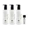 [Home Shopping Latest Award] 3 ​​Princess Buoyant Shampoo 500ml + 50ml Volume Booster / [홈쇼핑 최신상] 가히 공주부양 샴푸 500ml 3개+50ml 볼륨 부스터
