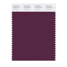 PANTONE Smart 19-2524X Color Swatch Card, Dark Purple