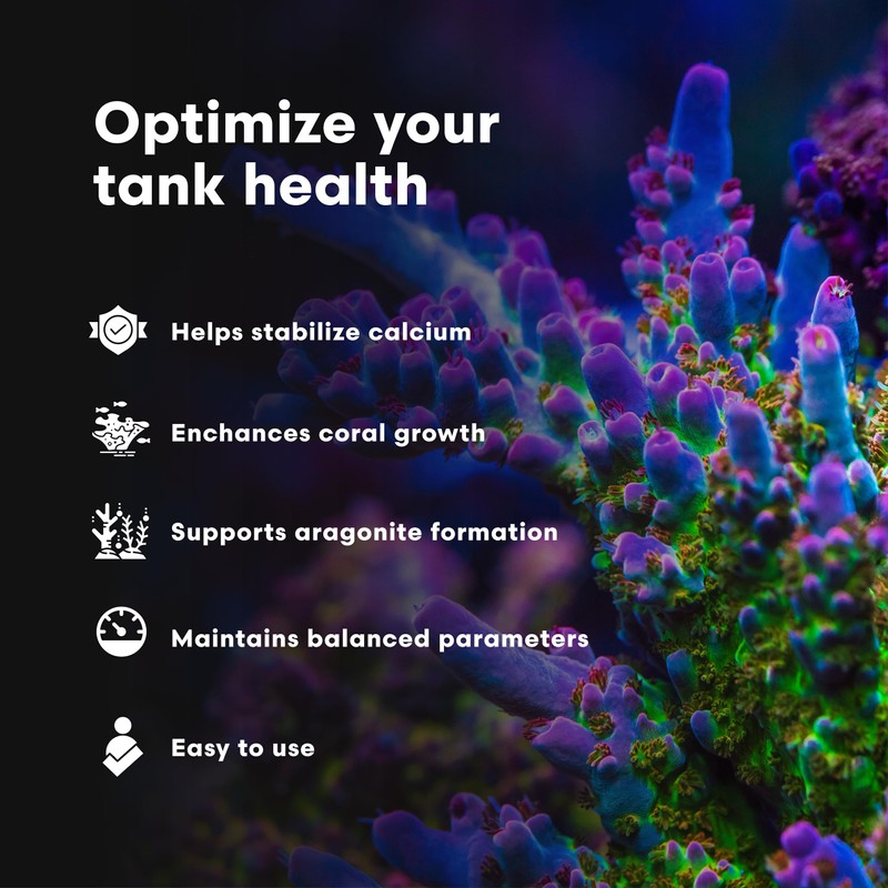 Continuum Aquatics Reef Basis Magnesium – Marine Aquarium Supplement for