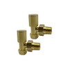 Greened House Alton Brushed Brass/Gold Angled Towel Rail Valves 1/2"