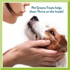 Pet Greens Soft-Chew Dog Li'l Treats for Small Dogs