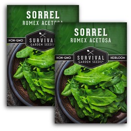2 Packs Sorrel Seed for Planting - Packet with Instructions to Plant and Grow Rumex Acetosa Tangy Herb and Salad Greens in Your Home Vegetable Garden - Non-GMO Heirloom Variety - Survival Garden Seeds