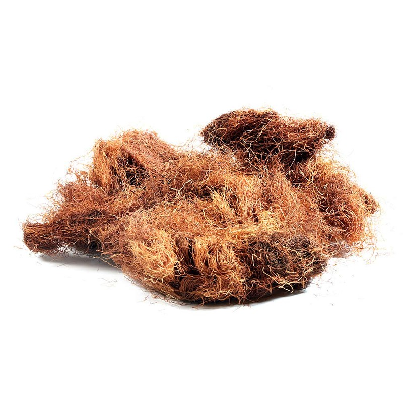 EidolonGreen [China Medicinal Herb] Corn Silk (Yumixu/玉米须/옥수수 수염) Dried Bulk