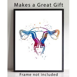 Uterus Wall Art, 11x14 inch Ready to Frame Abstract Watercolor Style Human Anatomy Print, Ideal for ObGyns, Doulas, Labor Nurses, Midwives, Clinic Décor or Medical Office Art