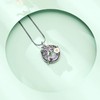 Hummingbird Crystal Urn Necklace for Women Ashes Stainless Steel Bird