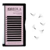 Oreola Easy Fan Eyelashes, 0.07 C Curl, 10 mm Length,
